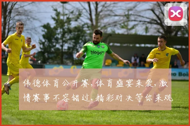 伟德体育公开赛,体育盛宴来袭,激情赛事不容错过,精彩对决等你来观