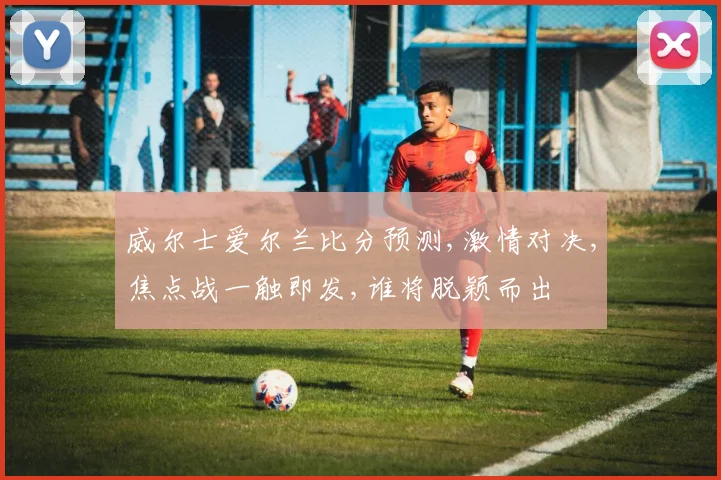 威尔士爱尔兰比分预测,激情对决,焦点战一触即发,谁将脱颖而出