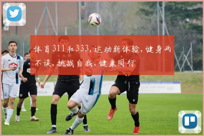 体育311和333,运动新体验,健身两不误,挑战自我,健康同行